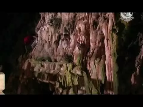 Китайская кухня - ласточкины гнезда