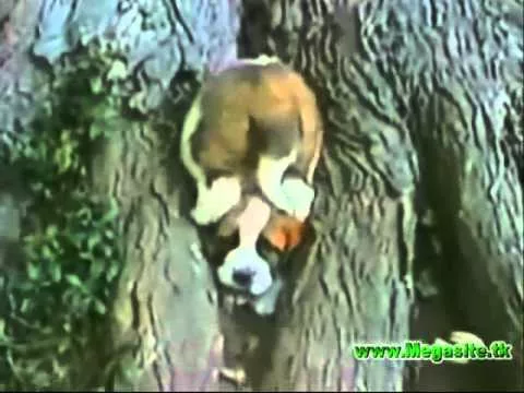 Посмеялся сам - поделись с другом!!! - 758891