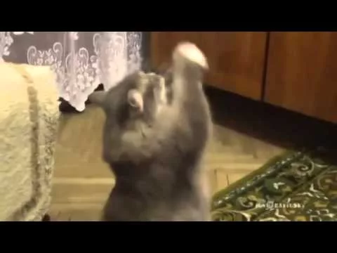 Посмеялся сам - поделись с другом!!! - 3268317