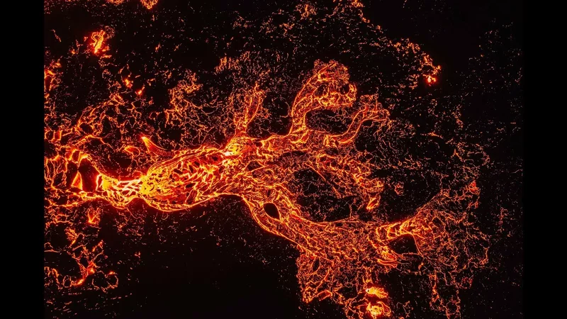 The light in the night!