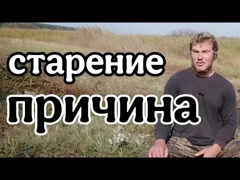 Причины старения, износ организма, источники токсинов 
