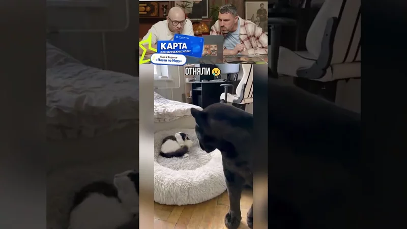 Отняли