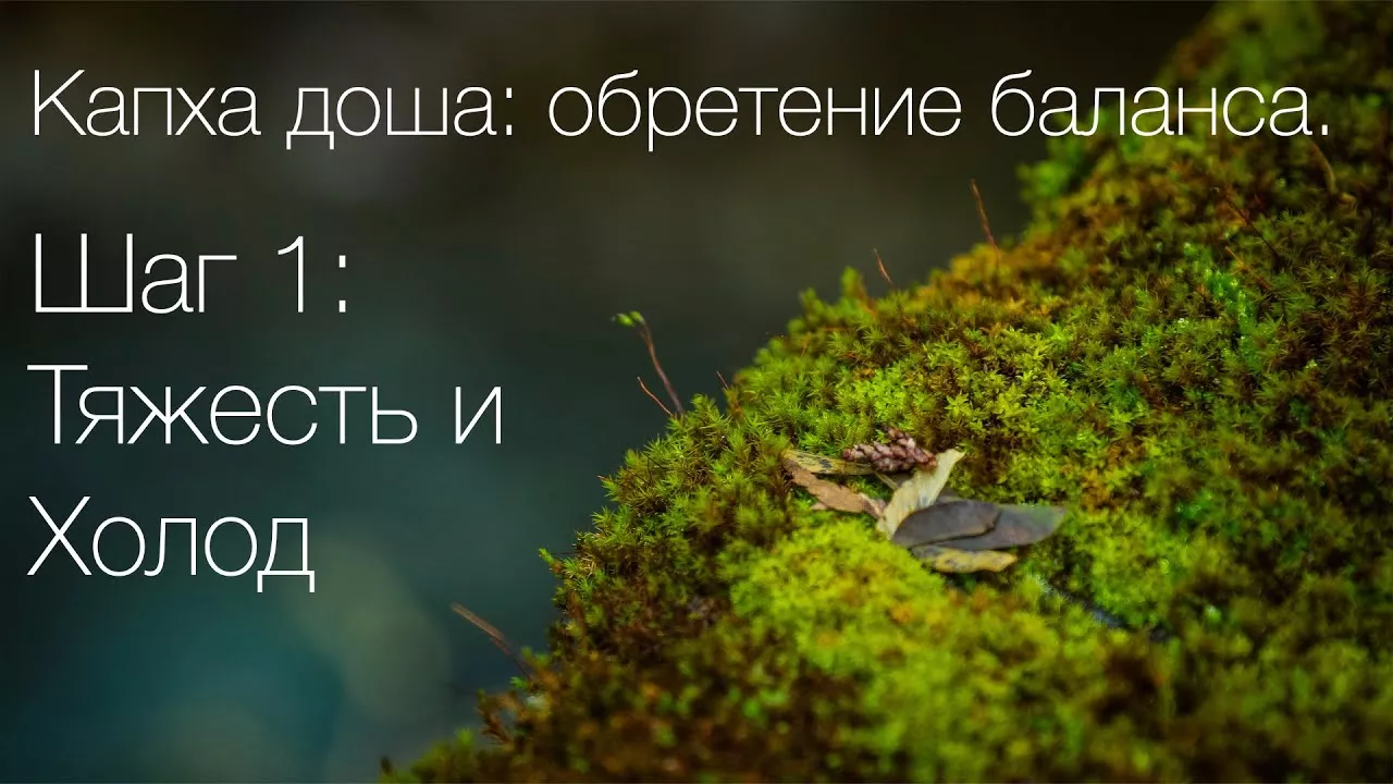 Капха дош: обретение баланса. Шаг 1: тяжесть и холод. Аюрведа для начинающих
