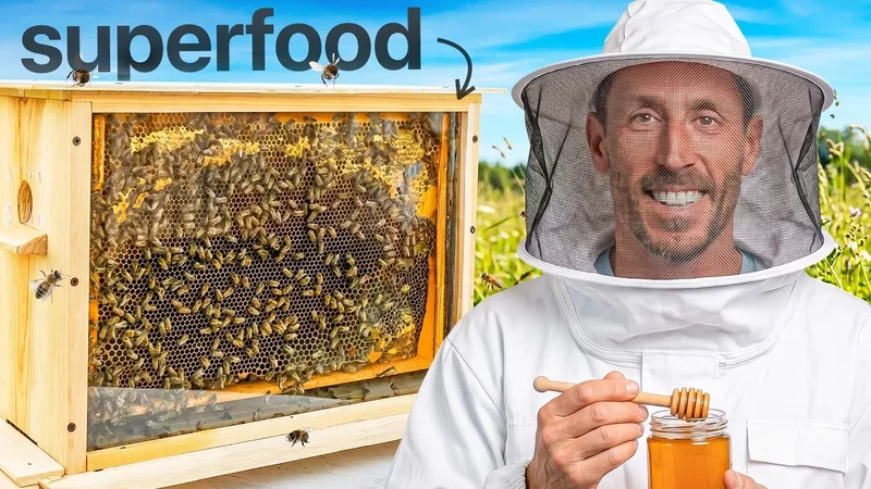How Honey Is Made (I Got My Own Bees)