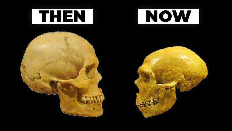 Humans Are Carnivores. Here's Why.