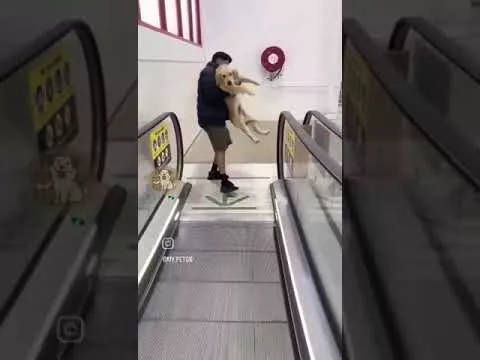 Друзья
