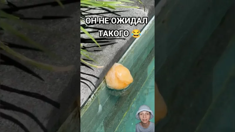 НОЧЬЮ ОН УВИДЕЛ ПРАВДУ 