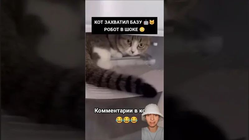 РОБОТ ВЕРНУЛСЯ…НО ЕГО НЕ ПУСТИЛИ  #юмор #прикол #кот #робот #смешно#смех #жиза #cat  #funny #shorts