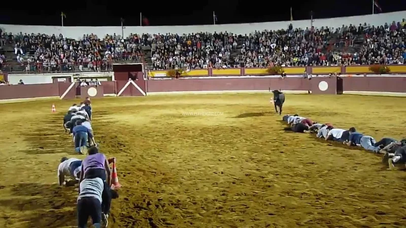 Самая безумная змейка по испански