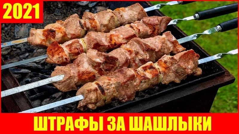 Сжигание мусора, шашлыки на своем участке: за что будут штрафовать садоводов и дачников в 2021 году