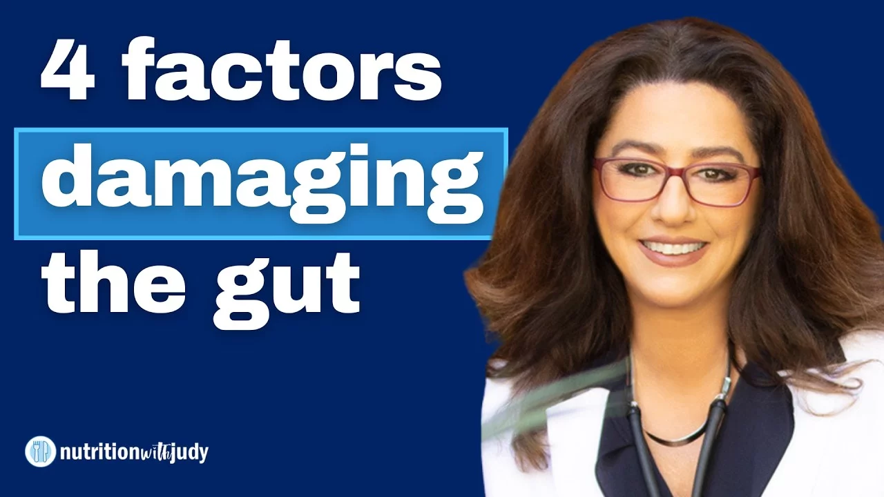 4 Main Factors that Damage the Gut and What to Do. Challenging Status Quo – Dr. Sabine Hazan
