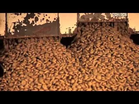 Человек собаке друг!!! - 2664534