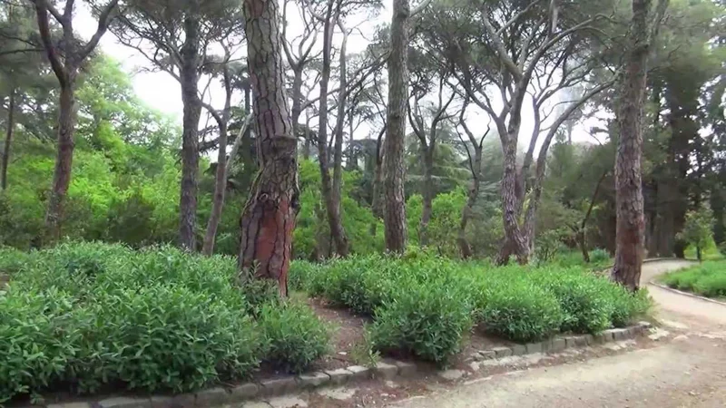 Массандровский парк в Крыму, parks of the Crimea