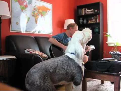 Человек собаке друг!!! - 2162812