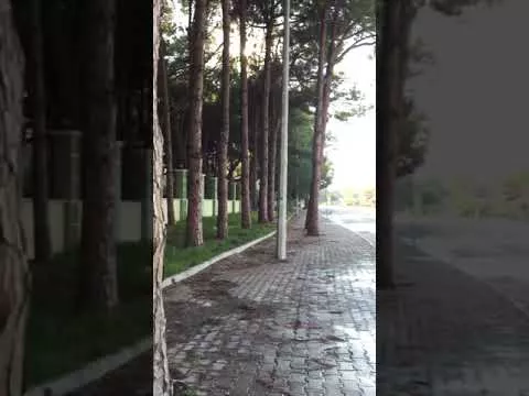 9 декабря 2018 г.