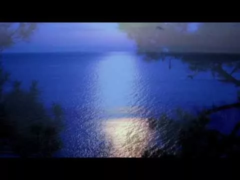 Л.Бетховен "Лунная соната" - Ludwig Van Beethoven - Moonlight Sonata