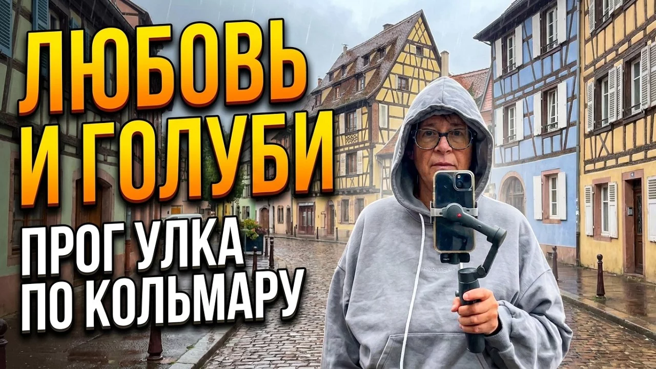 Французские будни: Мысли после стрима и удивительные факты о голубях