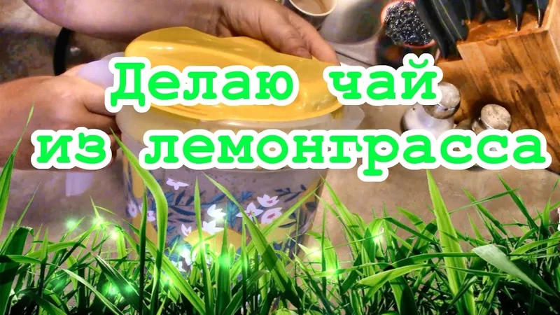 Делаю чай из лемонграсса.