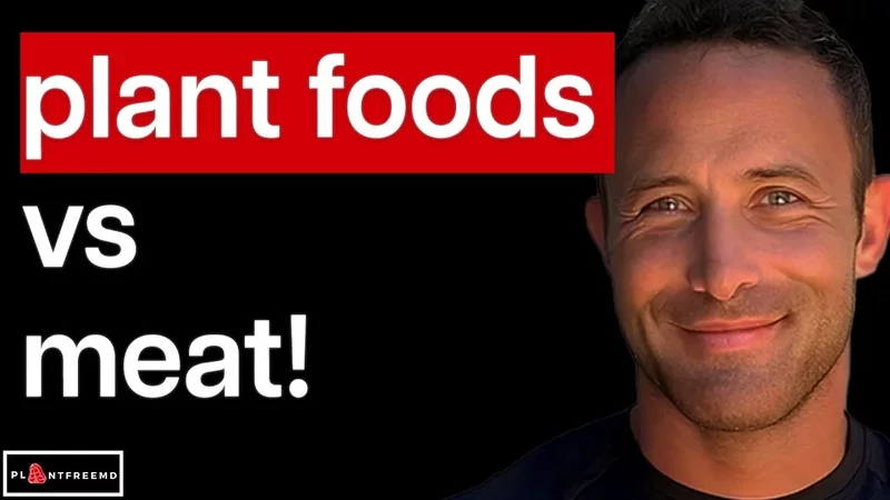 Comparing The Carnivore Diet With The Vegan Diet