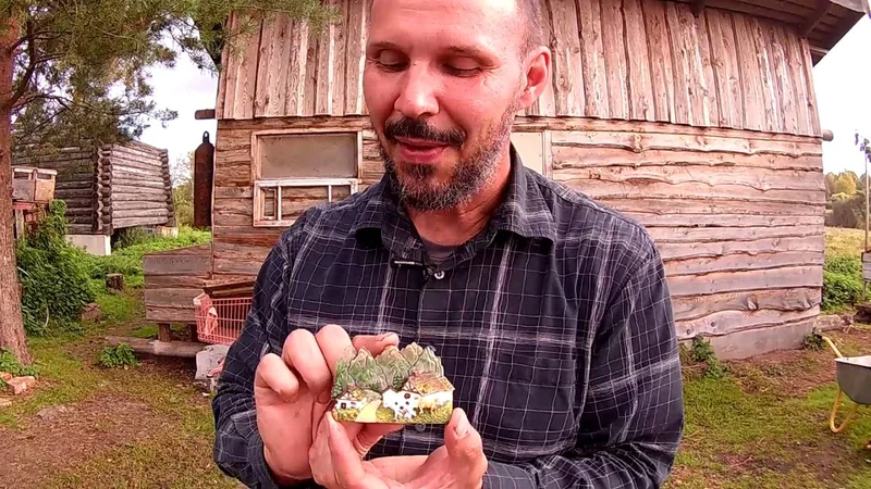 Посылка из-за границы // Из города в деревню