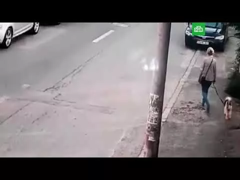Шок!!!наподение бойцовской собаки.
