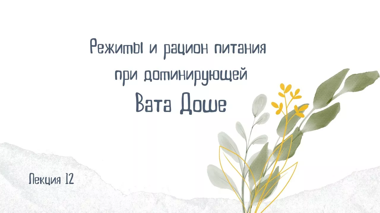 Особенности рациона питания для Вата Доши