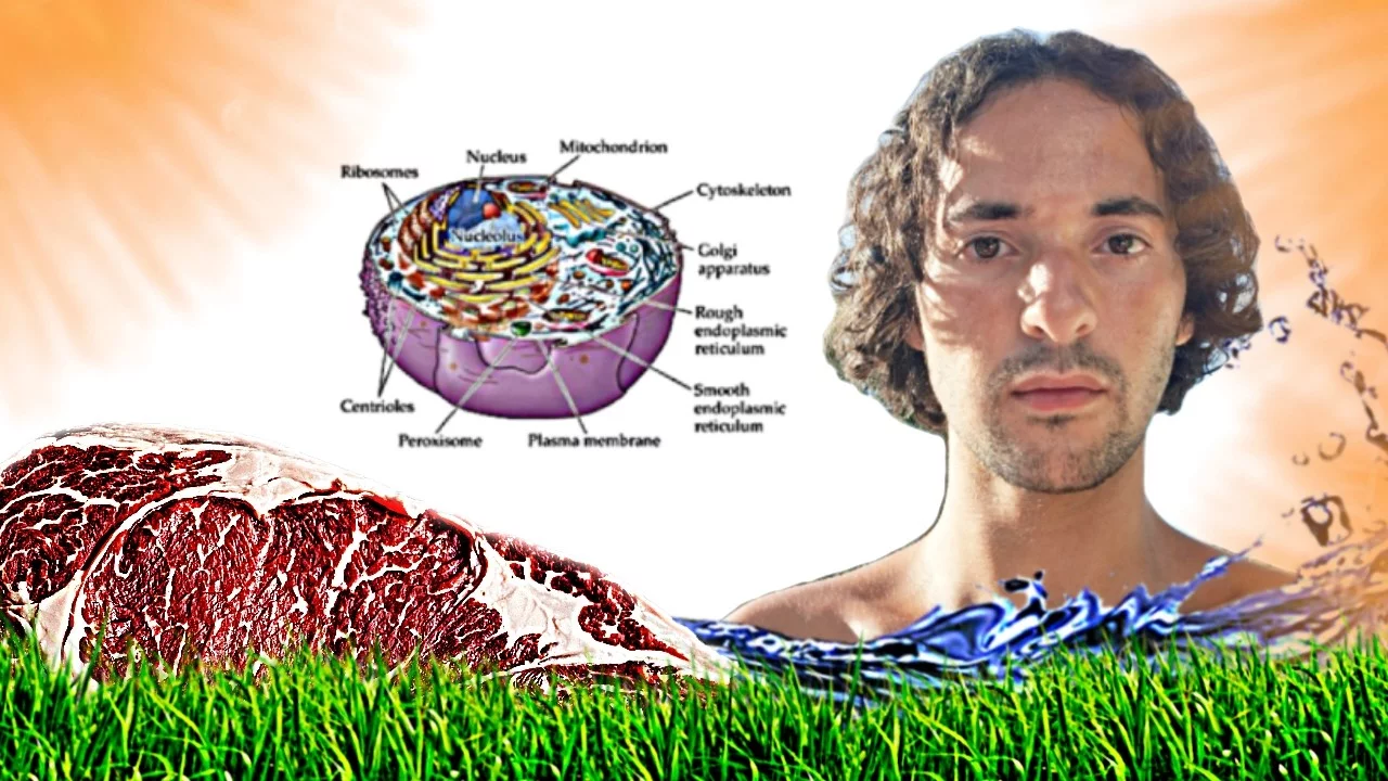 How to Become Really Healthy 4