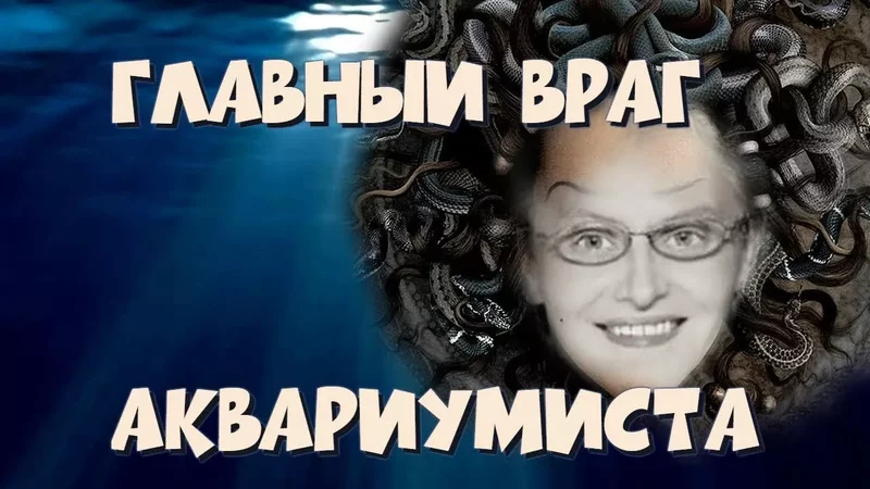 Главный враг аквариумиста