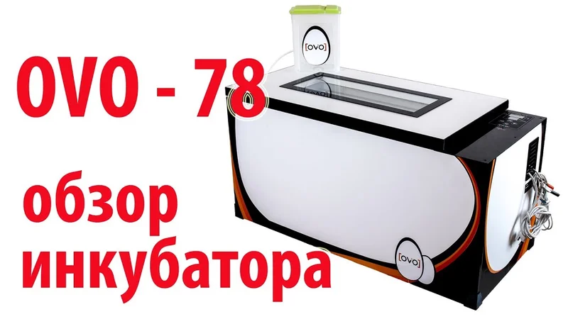 OVO-78 - обзор инкубатора \\ В деревню!