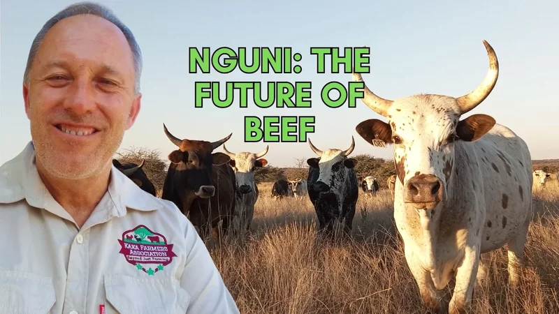 Why Grass-Fed Cattle Could Regenerate the Planet  Prof. Richard Fynn