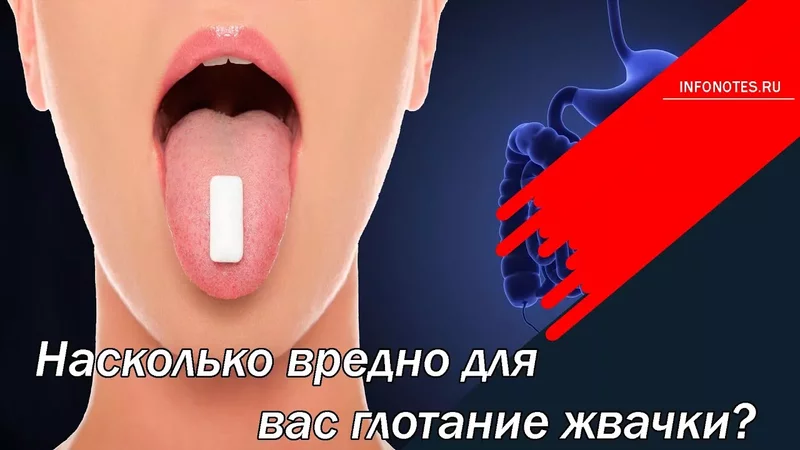 Насколько вредно для вас глотание жвачки?