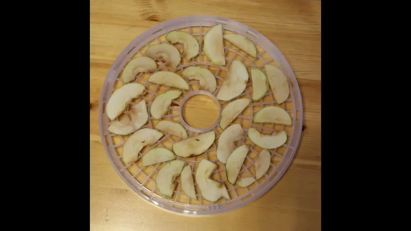 Сушилка для фруктов и овощей SUPRA DFS-320