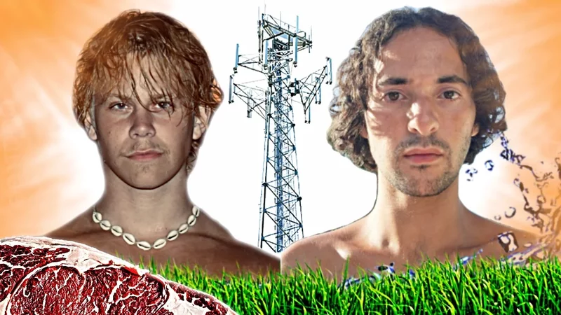 Sunlight Regenerates You (and EMF stops it)  @solaryouth