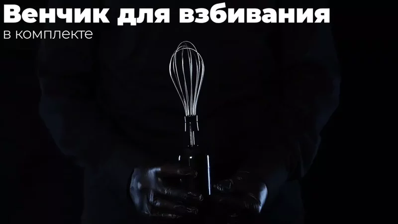 Блендер погружной ENDEVER SIGMA 79
