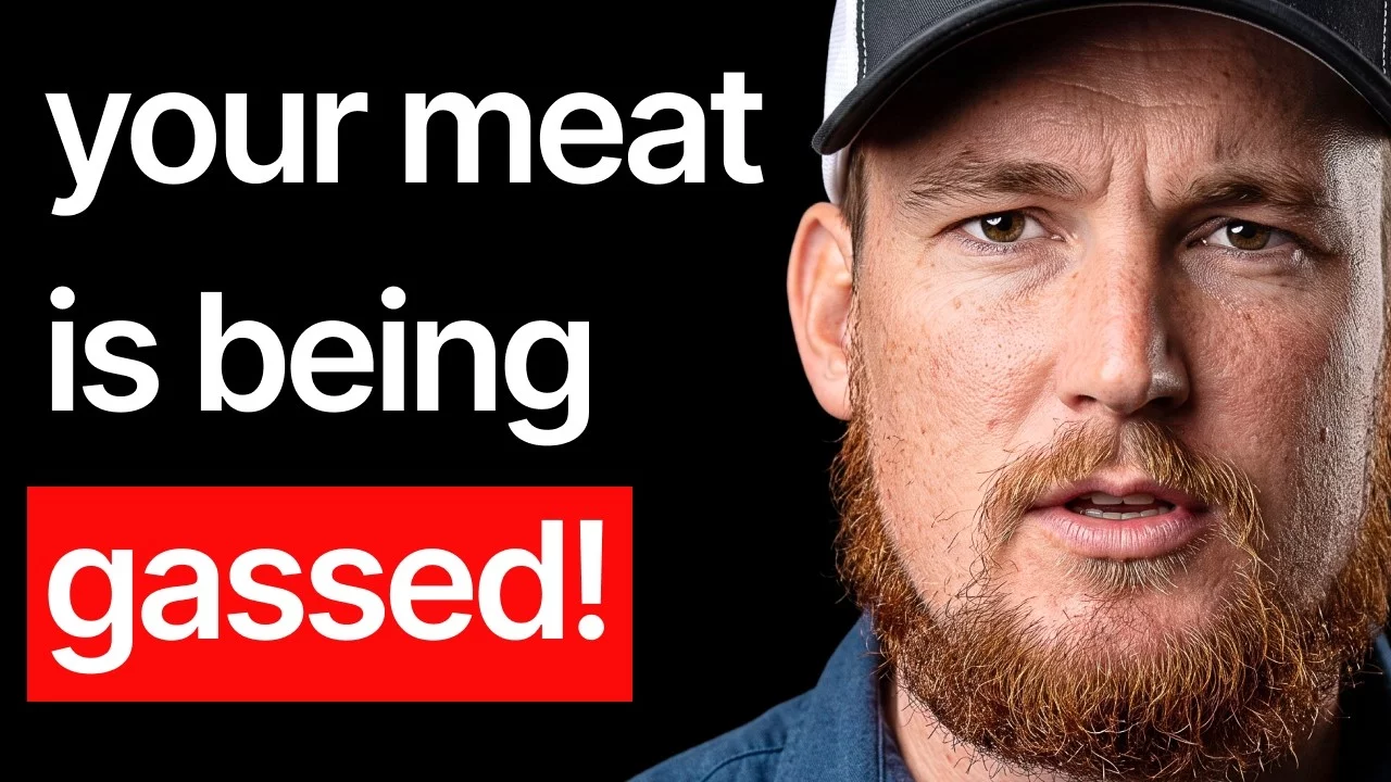 USA Farmer: 99% of Your ‘Healthy’ Eggs & Meat Are a Scam!