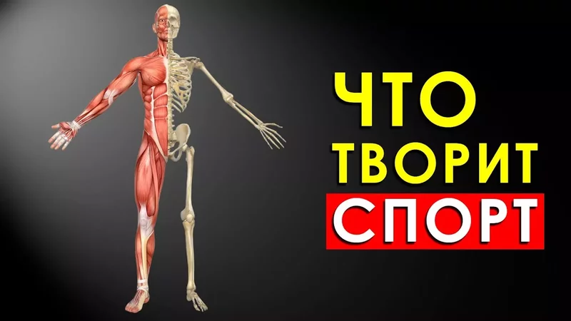 Что Будет с Телом, Если Заниматься Спортом Каждый День