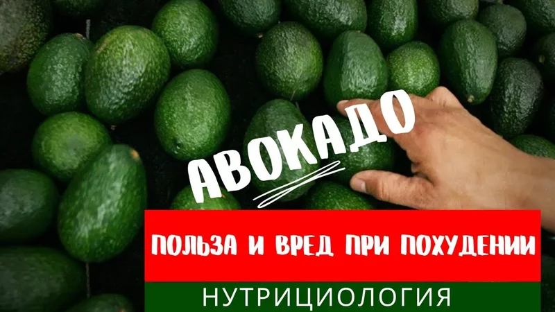 Авокадо: польза и вред при похудении!