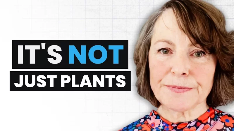 The Blue Zones Myth: What They Really Eat  Belinda Fettke