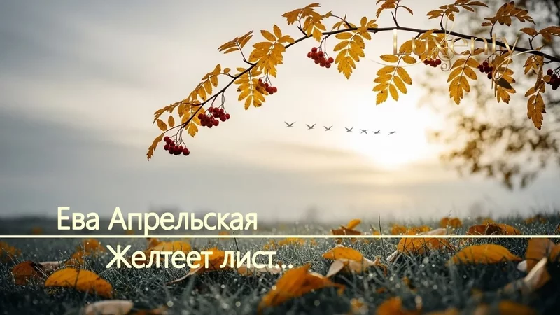 Ева Апрельская - Желтеет лист... - 4383613