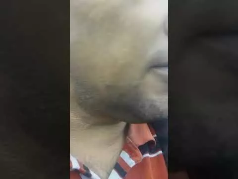 4 октября 2021 г.