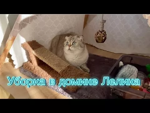 Уборка у Лелика (полная версия)