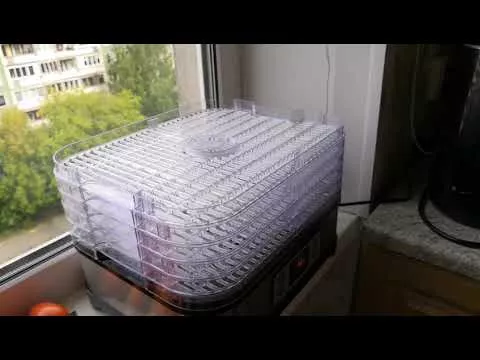 Сушим яблоки и груши! Обзор сушилки для овощей и фруктов Kitfort KT-1903
