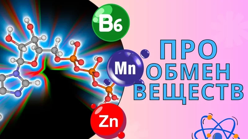 Витамин В6, ЦИНК и МАРГАНЕЦ в обмене веществ.
