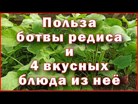 Польза ботвы редиса и 4 вкусных блюда из нее - The benefits of radish tops and 4 delicious recipes