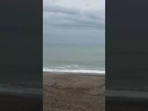 3 марта 2019 г.