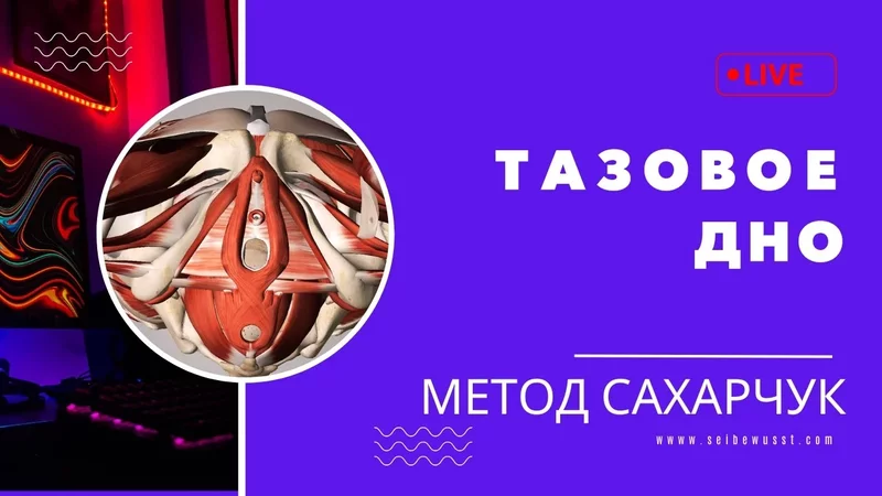 Недержание, боль, усталость — при чём тут тазовое дно?