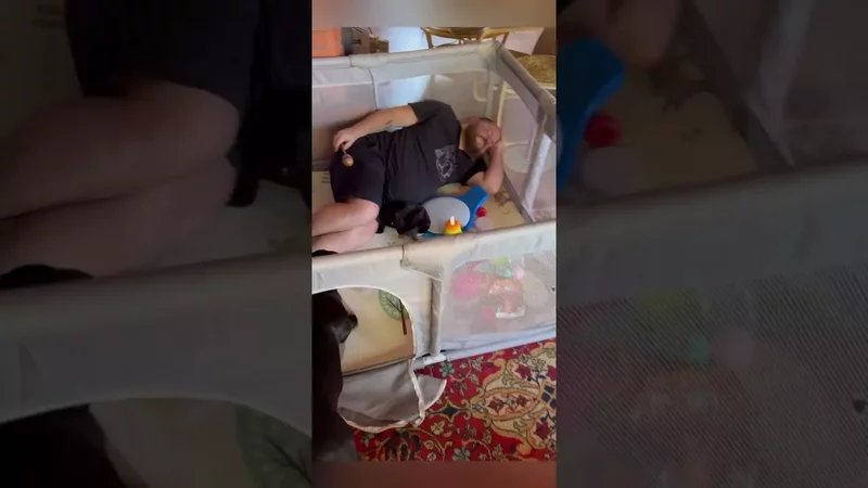Как папа сидит с ребенком  #сашанадя #юмор #family #семья #дети #собака #папа #shorts