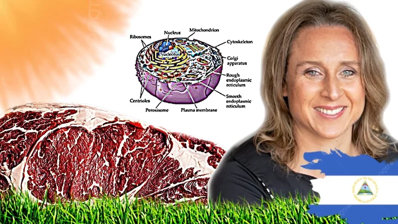 Why The Tropics Are So Healing (Healthiest Countries, Magnetism) @Thebusysuperhuman