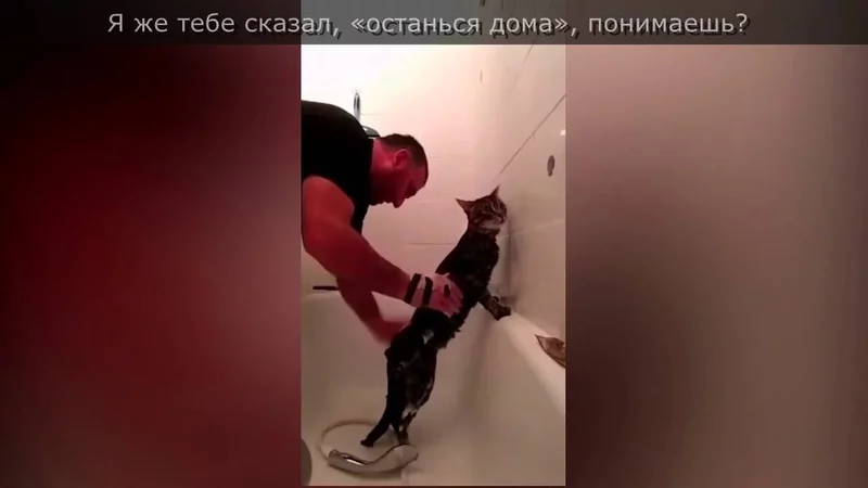 Чеченец со стойким котом покорили кавказский интернет