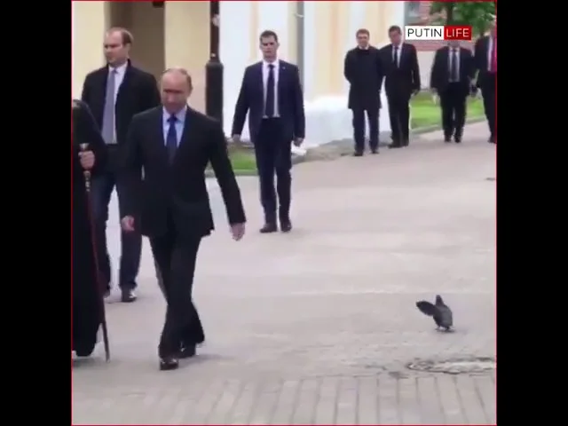 Путин поздоровался с голубем